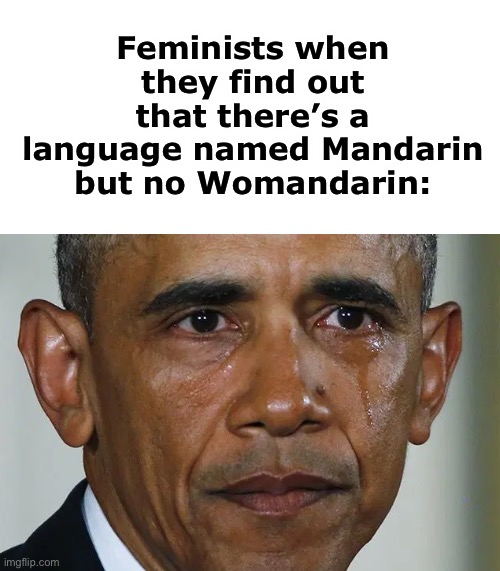 Feminists get triggered so easily | Feminists when they find out that there’s a language named Mandarin but no Womandarin: | image tagged in obama,barack obama,feminist,feminism,funny,memes | made w/ Imgflip meme maker
