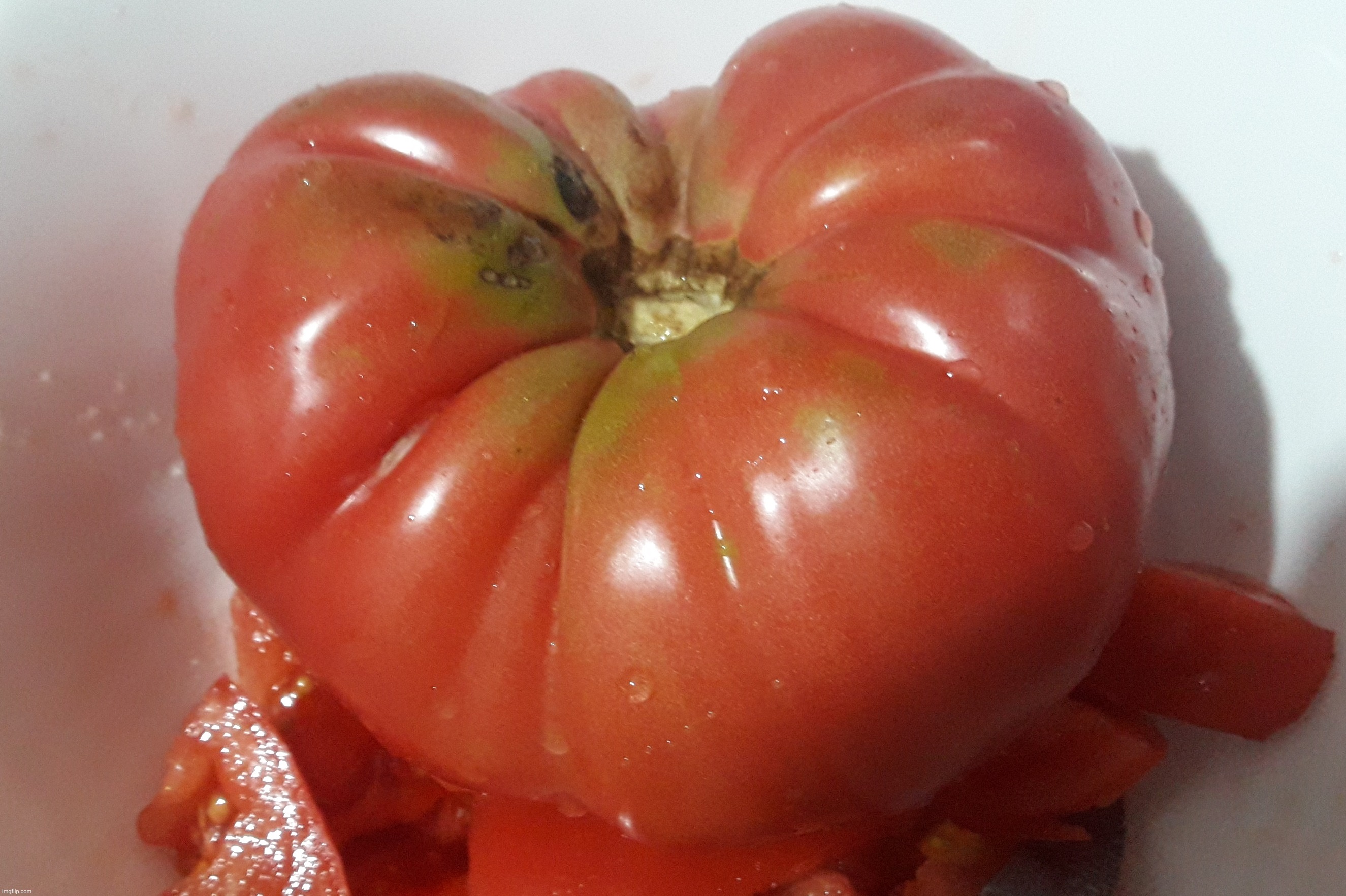 El Gigamato! | image tagged in tomato,tomatoes,giga,giant,giant tomato,giant vegetable | made w/ Imgflip meme maker