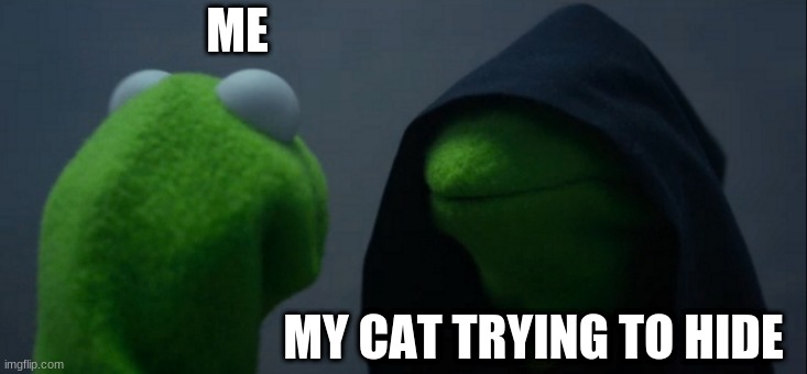 Evil Kermit |  ME; MY CAT TRYING TO HIDE | image tagged in memes,evil kermit | made w/ Imgflip meme maker