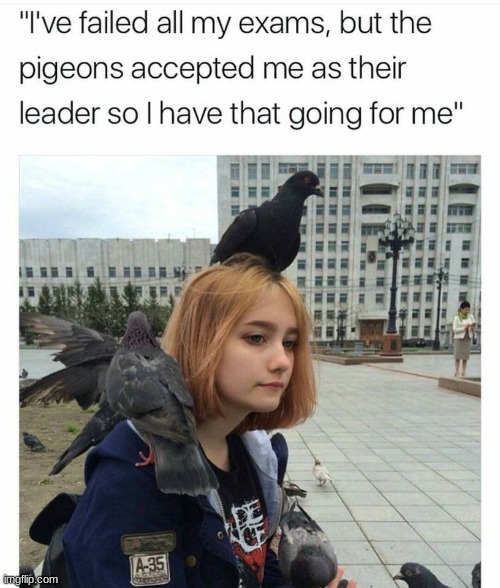 image tagged in pigeon,cult | made w/ Imgflip meme maker