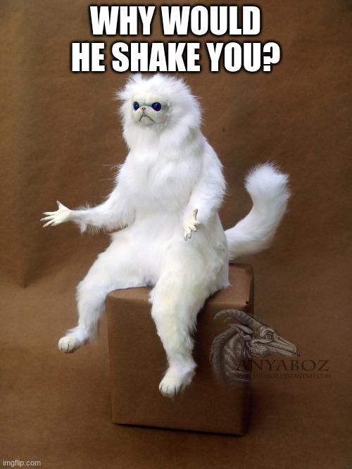 WHY WOULD HE SHAKE YOU? | image tagged in memes,persian cat room guardian single | made w/ Imgflip meme maker