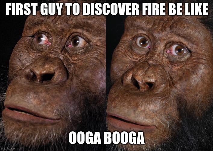 ooga booga | FIRST GUY TO DISCOVER FIRE BE LIKE; OOGA BOOGA | image tagged in monkey ooh,fire | made w/ Imgflip meme maker