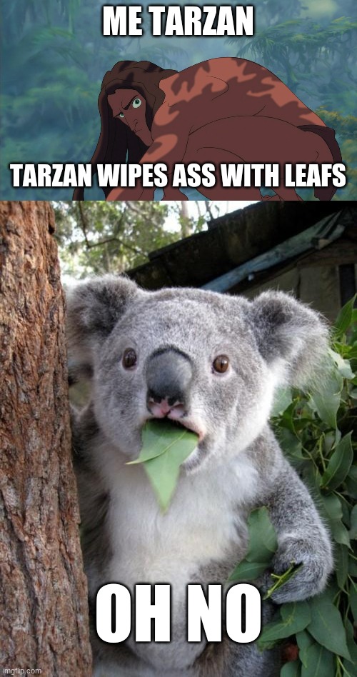 ME TARZAN; TARZAN WIPES ASS WITH LEAFS; OH NO | image tagged in tarzan,memes,surprised koala | made w/ Imgflip meme maker