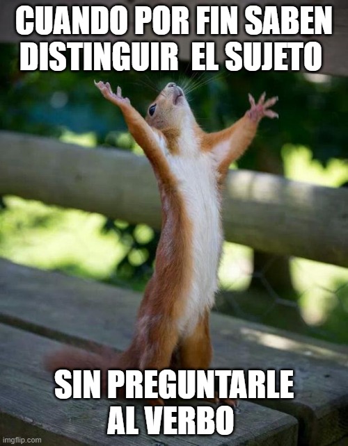 Happy Squirrel | CUANDO POR FIN SABEN DISTINGUIR  EL SUJETO; SIN PREGUNTARLE AL VERBO | image tagged in happy squirrel | made w/ Imgflip meme maker