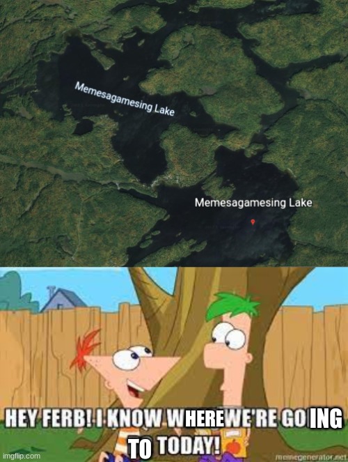 Who's coming with? | ING; HERE; TO | image tagged in hey ferb i know what we're gonna do today,memes,funny memes,oh wow are you actually reading these tags,meme lake | made w/ Imgflip meme maker