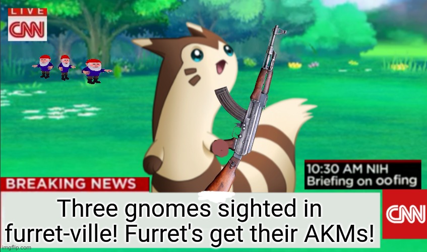 What the heck are those gnomes thinking? | Three gnomes sighted in furret-ville! Furret's get their AKMs! | image tagged in breaking news furret,gnomes,are evil,furret,pokemon,cute animals | made w/ Imgflip meme maker