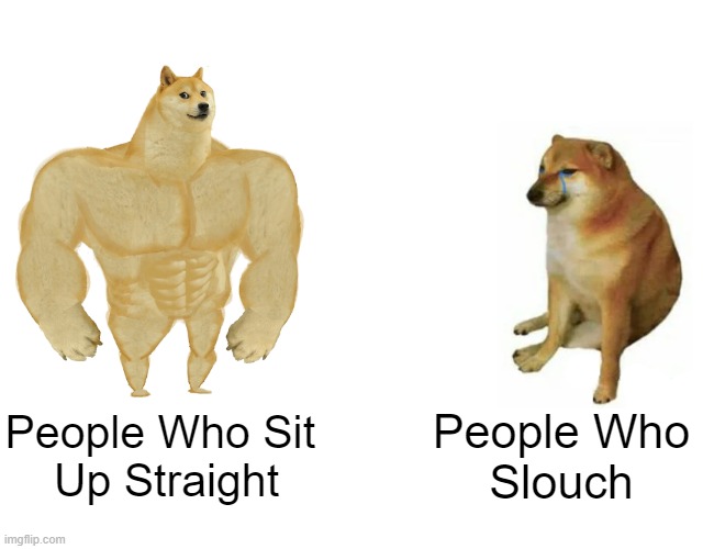 Buff Doge vs. Cheems Meme | People Who Sit 
Up Straight; People Who
Slouch | image tagged in memes,buff doge vs cheems | made w/ Imgflip meme maker