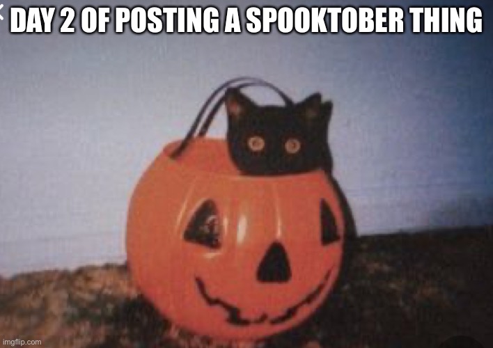 Spooktober challenge day 2 | DAY 2 OF POSTING A SPOOKTOBER THING | image tagged in spooktober,black cat,pumpkin spice,everything,nice | made w/ Imgflip meme maker