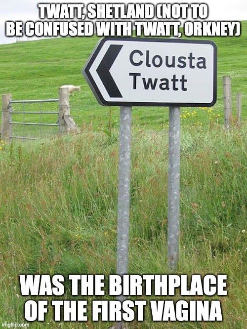 Twatt Road Sign | TWATT, SHETLAND (NOT TO BE CONFUSED WITH TWATT, ORKNEY); WAS THE BIRTHPLACE OF THE FIRST VAGINA | image tagged in road signs,memes | made w/ Imgflip meme maker