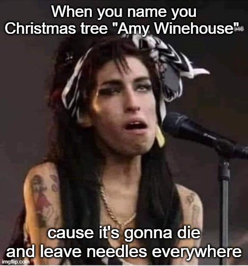 When you name you Christmas tree "Amy Winehouse"; cause it's gonna die and leave needles everywhere | image tagged in funny | made w/ Imgflip meme maker