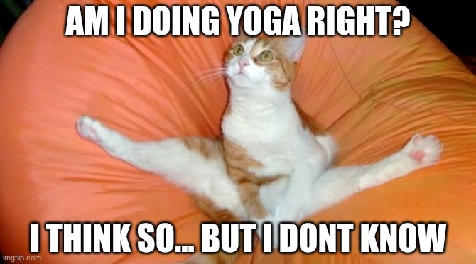 Yoga Cat? | AM I DOING YOGA RIGHT? I THINK SO... BUT I DONT KNOW | image tagged in cats,cat,yoga | made w/ Imgflip meme maker