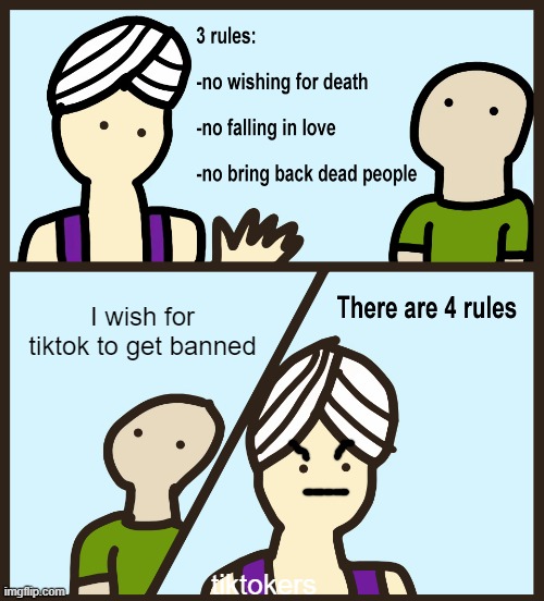 i wish it was banned | I wish for tiktok to get banned; tiktokers | image tagged in genie rules meme | made w/ Imgflip meme maker