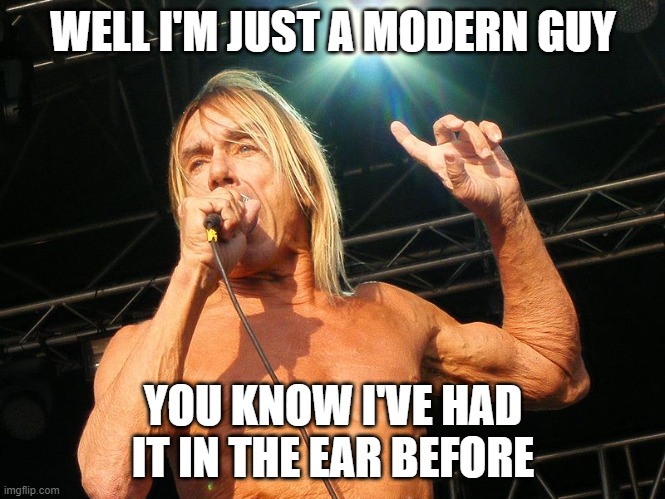 had it in the ear | WELL I'M JUST A MODERN GUY; YOU KNOW I'VE HAD IT IN THE EAR BEFORE | image tagged in iggy pop | made w/ Imgflip meme maker