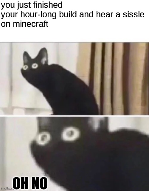 Oh No Black Cat | you just finished your hour-long build and hear a sissle
on minecraft; OH NO | image tagged in oh no black cat | made w/ Imgflip meme maker