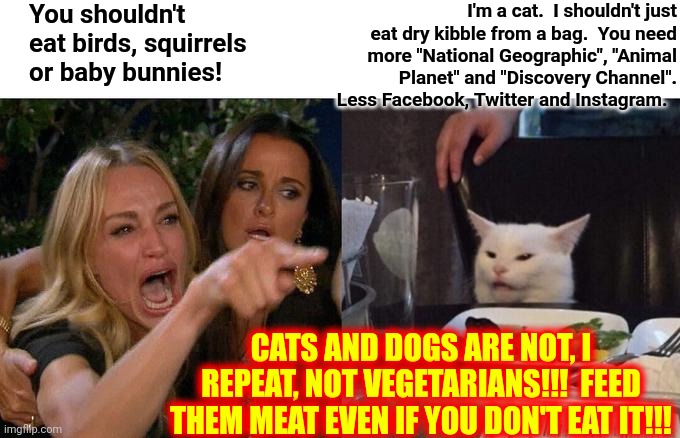Cats And Dogs Are Meat Eaters.  Cats And Dogs Are NOT Vegetarians | You shouldn't eat birds, squirrels or baby bunnies! I'm a cat.  I shouldn't just eat dry kibble from a bag.  You need more "National Geographic", "Animal Planet" and "Discovery Channel".  Less Facebook, Twitter and Instagram. CATS AND DOGS ARE NOT, I REPEAT, NOT VEGETARIANS!!!  FEED THEM MEAT EVEN IF YOU DON'T EAT IT!!! | image tagged in memes,woman yelling at cat,cats,dogs,predators,that's why we love them | made w/ Imgflip meme maker