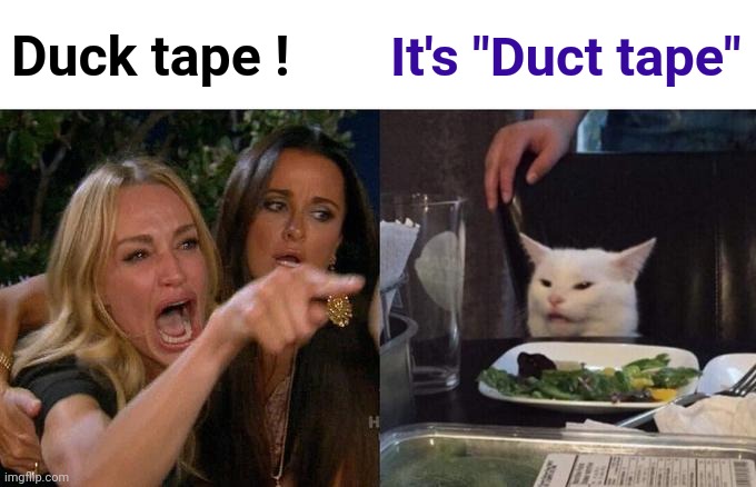 Woman Yelling At Cat Meme | Duck tape ! It's "Duct tape" | image tagged in memes,woman yelling at cat | made w/ Imgflip meme maker