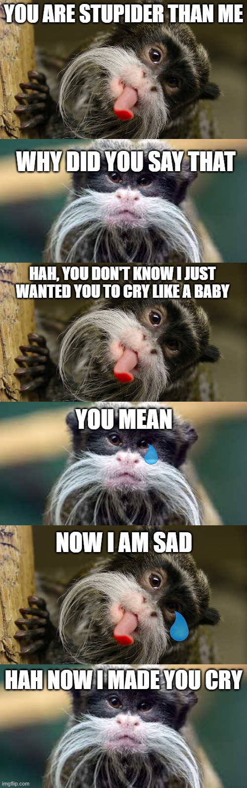 brotherly love | YOU ARE STUPIDER THAN ME; WHY DID YOU SAY THAT; HAH, YOU DON'T KNOW I JUST WANTED YOU TO CRY LIKE A BABY; YOU MEAN; NOW I AM SAD; HAH NOW I MADE YOU CRY | image tagged in funny,sad | made w/ Imgflip meme maker