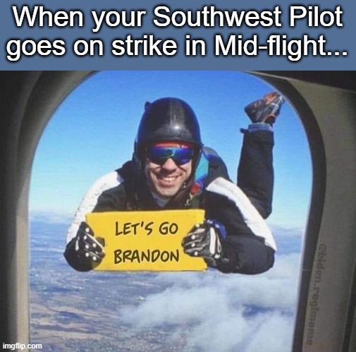  When your Southwest Pilot goes on strike in Mid-flight... | image tagged in pie charts | made w/ Imgflip meme maker