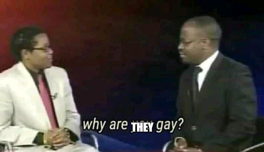 Why are you gay? | THEY | image tagged in why are you gay | made w/ Imgflip meme maker