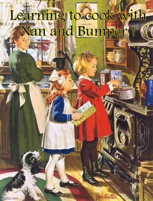 Cooking with Bumper ! | Learning to cook with
Nan and Bumper ! | image tagged in grandchildren | made w/ Imgflip meme maker