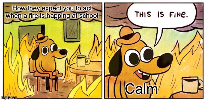 This Is Fine | How they expect you to act when a fire is happing at school; Calm | image tagged in memes,this is fine | made w/ Imgflip meme maker