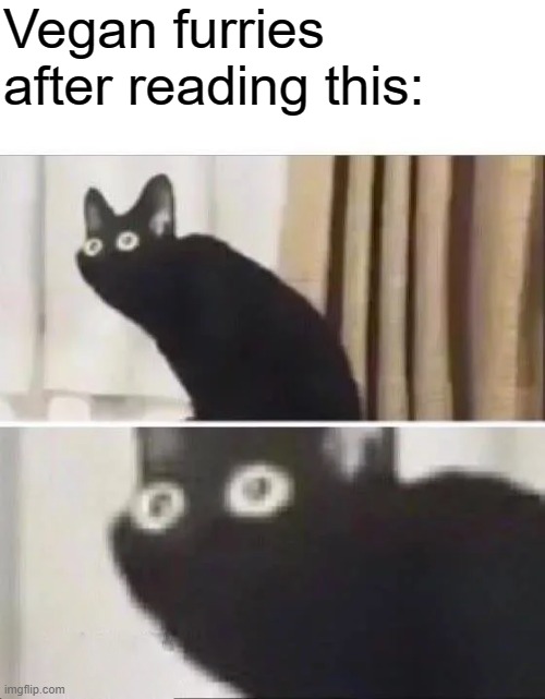 Oh No Black Cat | Vegan furries after reading this: | image tagged in oh no black cat | made w/ Imgflip meme maker