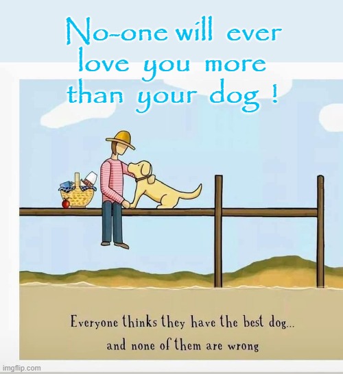 Dog Love ! | No-one will  ever
love  you  more
than  your  dog  ! | image tagged in forever | made w/ Imgflip meme maker