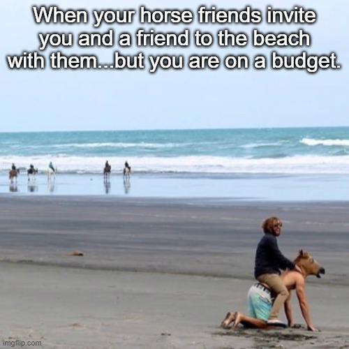 When your horse friends invite you and a friend to the beach with them...but you are on a budget. | image tagged in funny | made w/ Imgflip meme maker