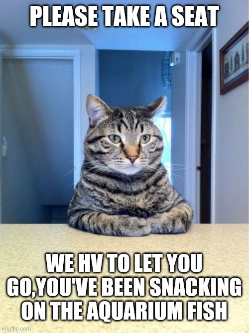 Take A Seat Cat | PLEASE TAKE A SEAT; WE HV TO LET YOU GO,YOU'VE BEEN SNACKING ON THE AQUARIUM FISH | image tagged in memes,take a seat cat | made w/ Imgflip meme maker