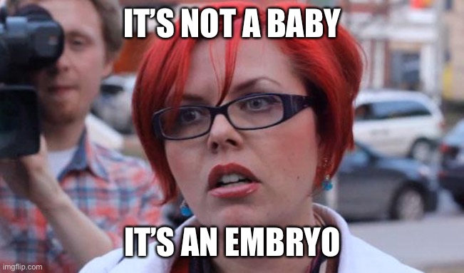 Angry Feminist | IT’S NOT A BABY IT’S AN EMBRYO | image tagged in angry feminist | made w/ Imgflip meme maker
