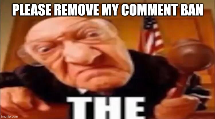 69 | PLEASE REMOVE MY COMMENT BAN | image tagged in the | made w/ Imgflip meme maker