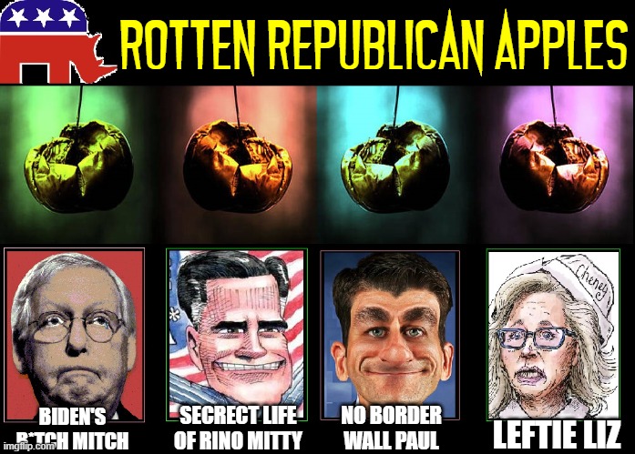It's Not A Difference of Opinion: They're Two-Faced Liars | ROTTEN REPUBLICAN APPLES; SECRECT LIFE
OF RINO MITTY; NO BORDER
WALL PAUL; BIDEN'S
B*TCH MITCH; LEFTIE LIZ | made w/ Imgflip meme maker