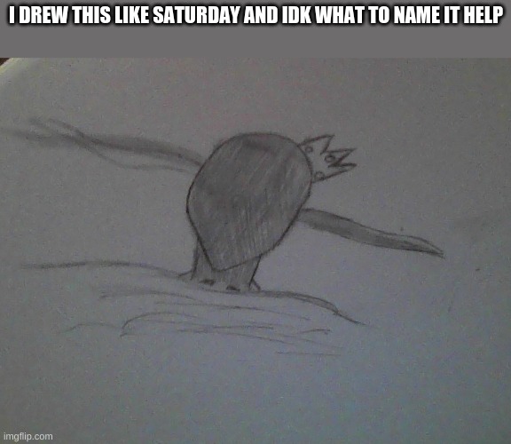 ;-; | I DREW THIS LIKE SATURDAY AND IDK WHAT TO NAME IT HELP | made w/ Imgflip meme maker