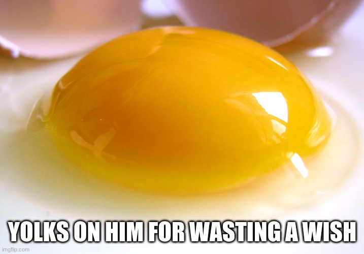 YOLKS ON HIM FOR WASTING A WISH | made w/ Imgflip meme maker