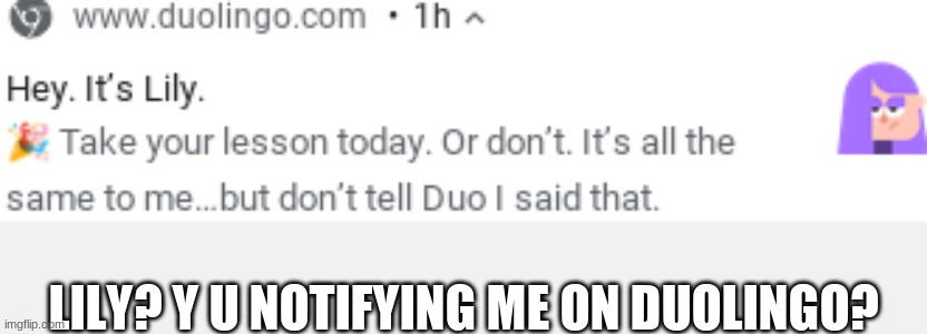 Lily- y u tryna get me to do school work whilst Im at school? | LILY? Y U NOTIFYING ME ON DUOLINGO? | made w/ Imgflip meme maker