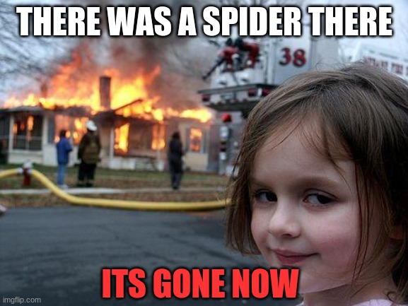 Disaster Girl Meme | THERE WAS A SPIDER THERE; ITS GONE NOW | image tagged in memes,disaster girl | made w/ Imgflip meme maker