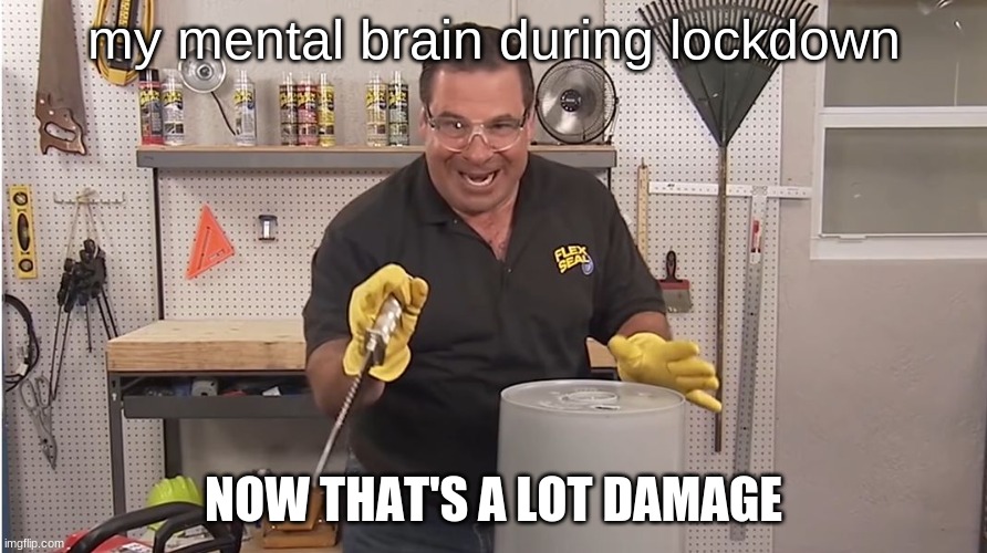 someone gotta relate to this |  my mental brain during lockdown; NOW THAT'S A LOT DAMAGE | image tagged in phil swift that's a lotta damage flex tape/seal | made w/ Imgflip meme maker