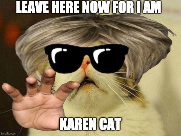 karen cat | LEAVE HERE NOW FOR I AM; KAREN CAT | image tagged in cats | made w/ Imgflip meme maker