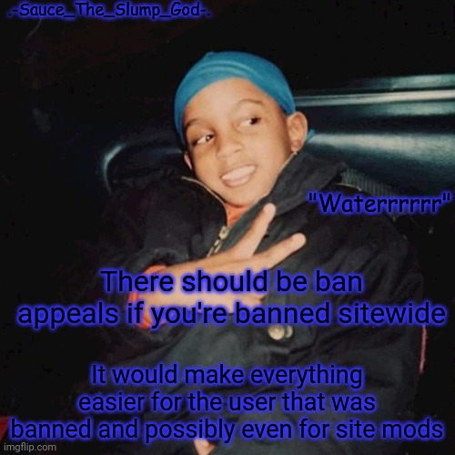 E | There should be ban appeals if you're banned sitewide; It would make everything easier for the user that was banned and possibly even for site mods | image tagged in e | made w/ Imgflip meme maker