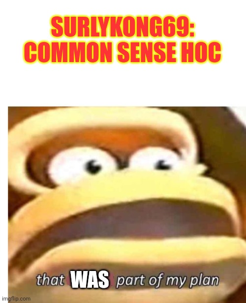 Vote Common Sense Party | SURLYKONG69: COMMON SENSE HOC; WAS | image tagged in that wasn't part of my plan,surlykong,vote,common sense,party | made w/ Imgflip meme maker