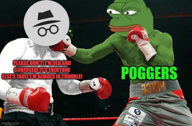 IG vs Pepe | POGGERS; PLEASE DON'T! I'M OLD AND CONFUSED! IT'S EVERYONE ELSE'S FAULT I'M ALWAYS IN TROUBLE! | image tagged in political,propaganda,pepe the frog,vote common sense party | made w/ Imgflip meme maker
