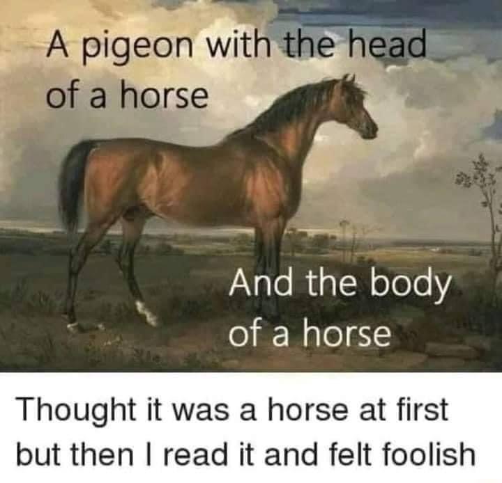 A pigeon with the head of a horse Blank Meme Template