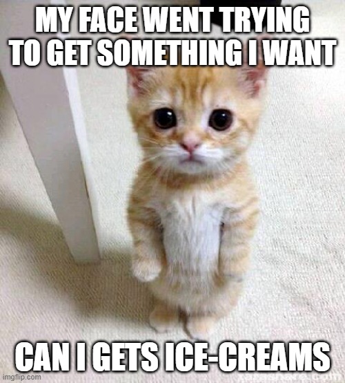 Cute Cat Meme | MY FACE WENT TRYING TO GET SOMETHING I WANT; CAN I GETS ICE-CREAMS | image tagged in memes,cute cat | made w/ Imgflip meme maker