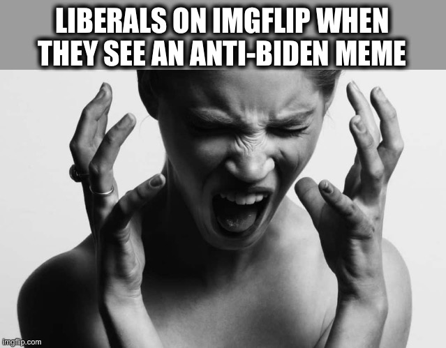 Seriously though, you look just look hopelessly pathetic trying to defend Biden now. | LIBERALS ON IMGFLIP WHEN THEY SEE AN ANTI-BIDEN MEME | image tagged in joe biden,liberal logic,memes,democrats,imgflip users | made w/ Imgflip meme maker