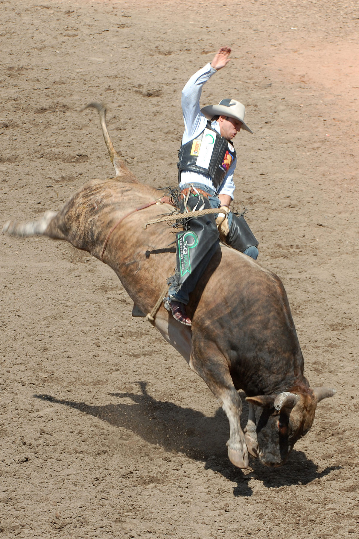 Bull Rider Blank Meme Template