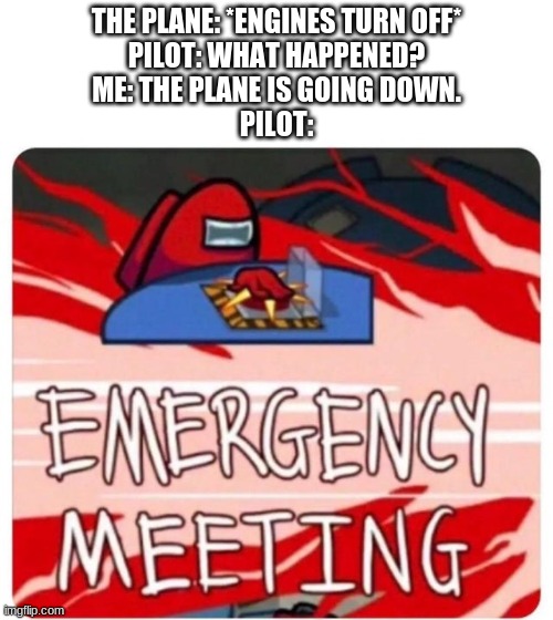 WE'RE GOING DOWN!!! | THE PLANE: *ENGINES TURN OFF*
PILOT: WHAT HAPPENED?
ME: THE PLANE IS GOING DOWN.
PILOT: | image tagged in emergency meeting among us,plane,funny | made w/ Imgflip meme maker