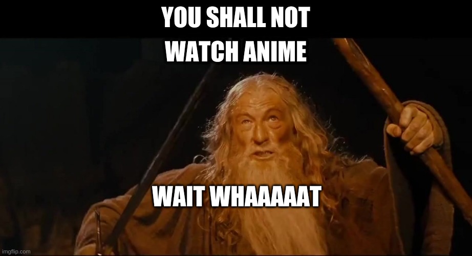 You shall not | WATCH ANIME; YOU SHALL NOT; WAIT WHAAAAAT | image tagged in you shall not | made w/ Imgflip meme maker