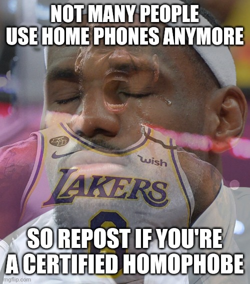 Crying LeBron James | NOT MANY PEOPLE USE HOME PHONES ANYMORE; SO REPOST IF YOU'RE A CERTIFIED HOMOPHOBE | image tagged in crying lebron james | made w/ Imgflip meme maker
