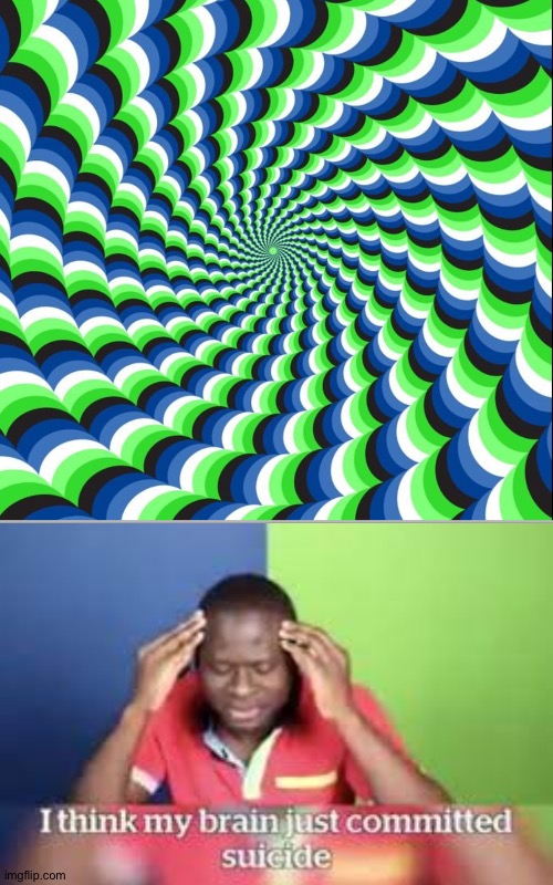 I l l u s i o n   1 0 1 | image tagged in i think my brain just committed suicide,illusion,optical illusion,illusion 100,bruh | made w/ Imgflip meme maker