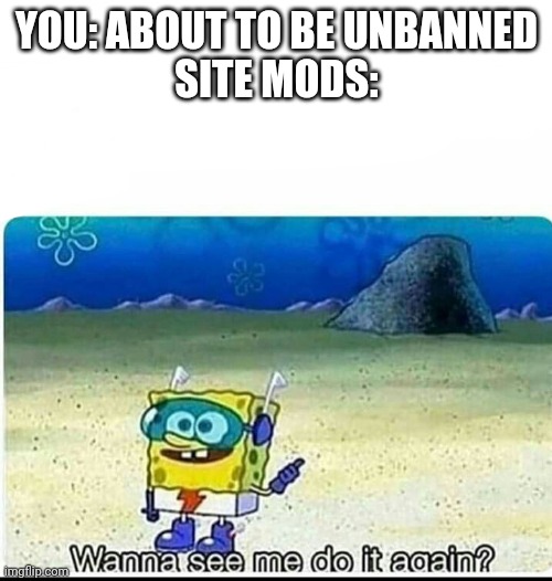 Spongebob wanna see me do it again | YOU: ABOUT TO BE UNBANNED
SITE MODS: | image tagged in spongebob wanna see me do it again | made w/ Imgflip meme maker